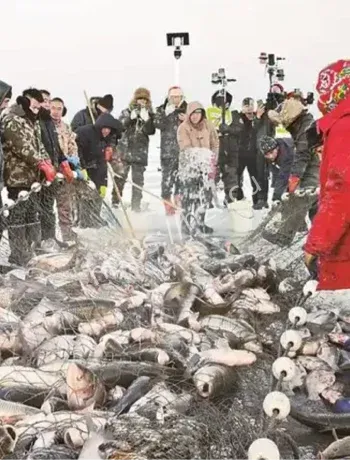 查干湖冬捕红网