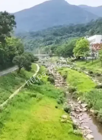 超1亿多人疯狂涌入